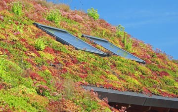 Lower Upnor living roof systems